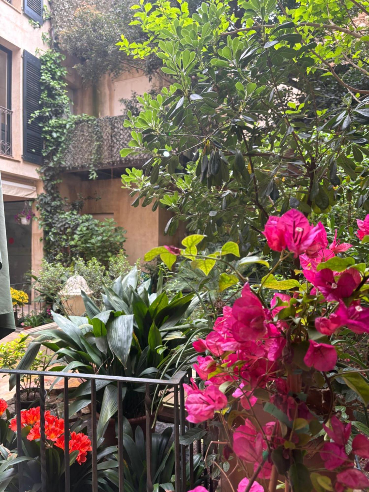 Hotel De La Font